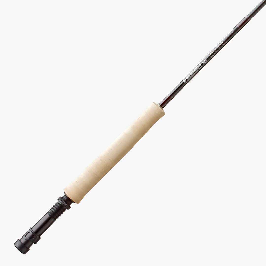 Cheap Fishing Rod-Sage ESN Rod