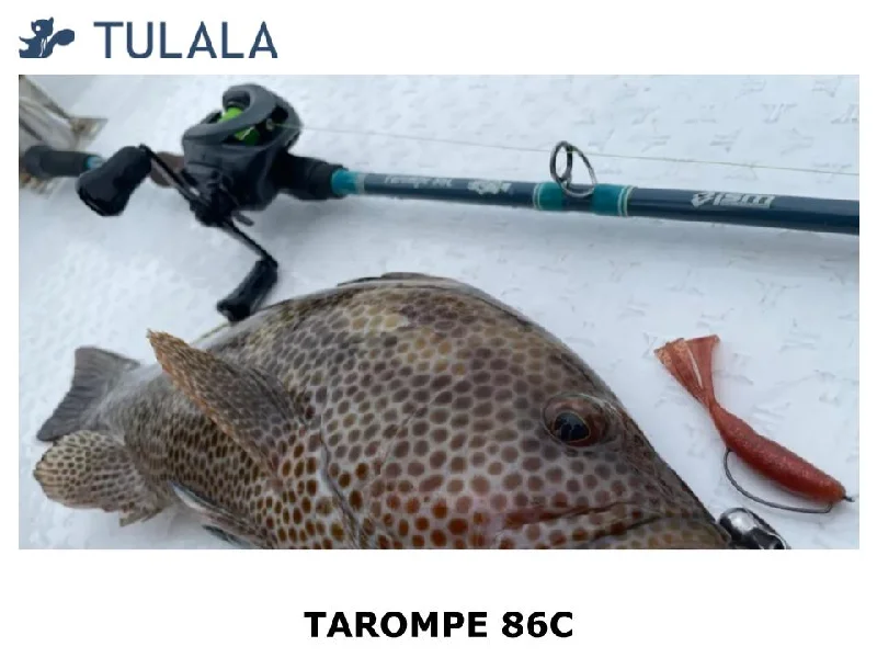 Fishing Rod with Reinforced Guides-Tulala x ism Tarompe 86C Straw Setting