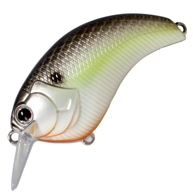 #18 BLACK BACK SHAD