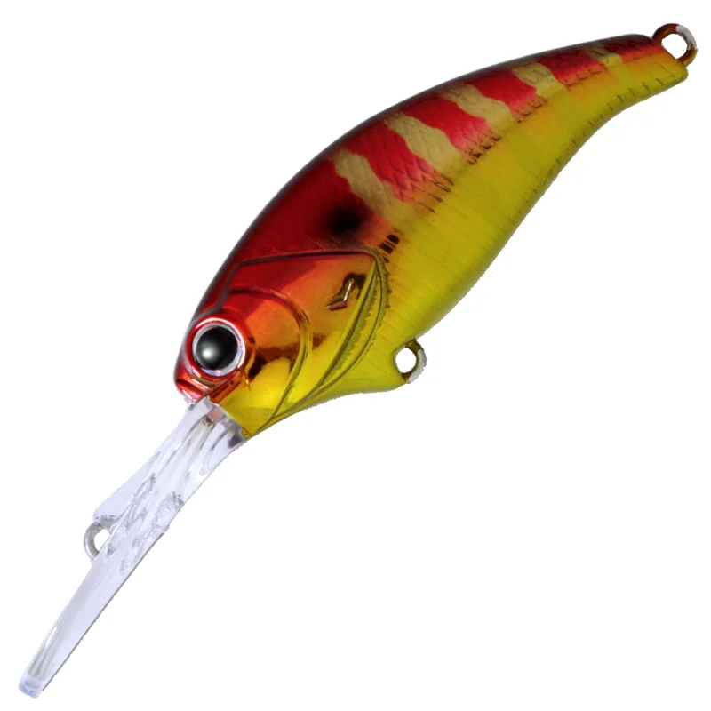 Lures for Catching Fish in Off-Season-EVOKE SHAD [Brand New]