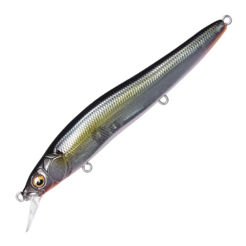 JUKUCHO SHAD