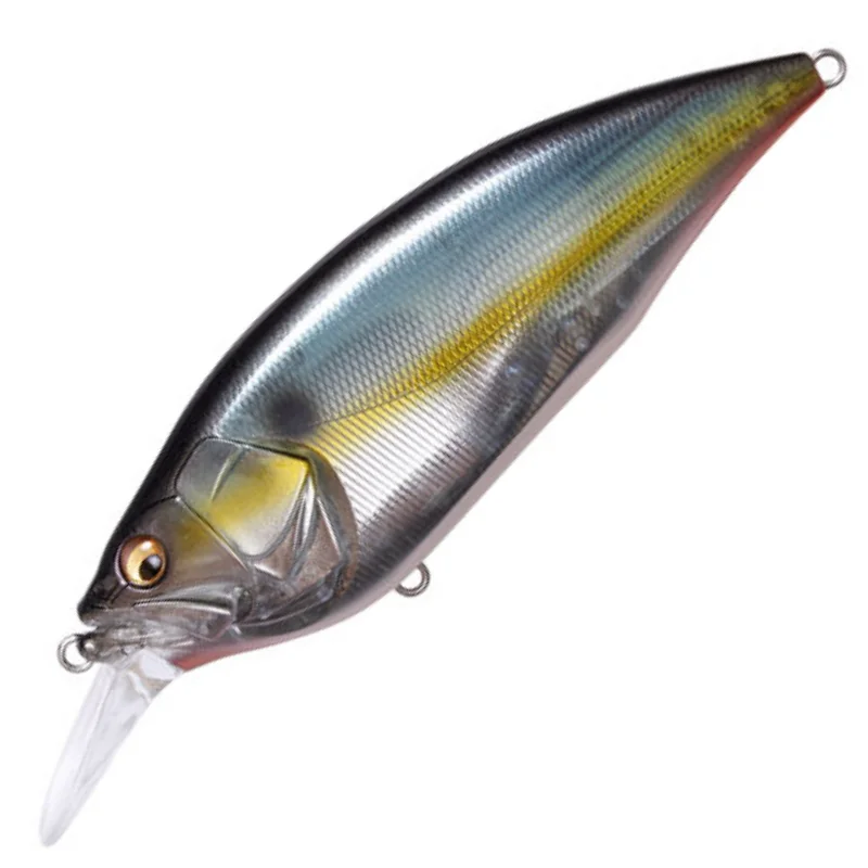 JUKUCHO SHAD