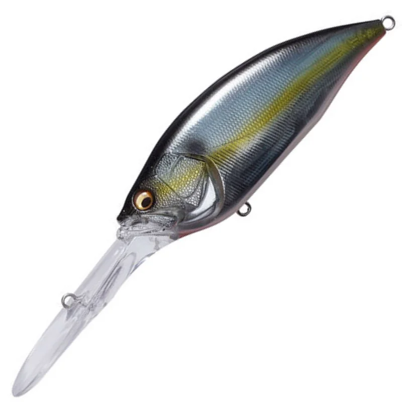 JUKUCHO SHAD