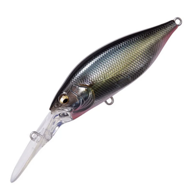 JYUKUCHO SHAD