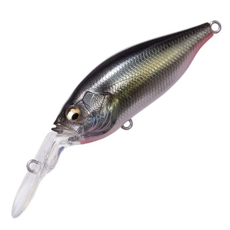 JYUKUCHO SHAD