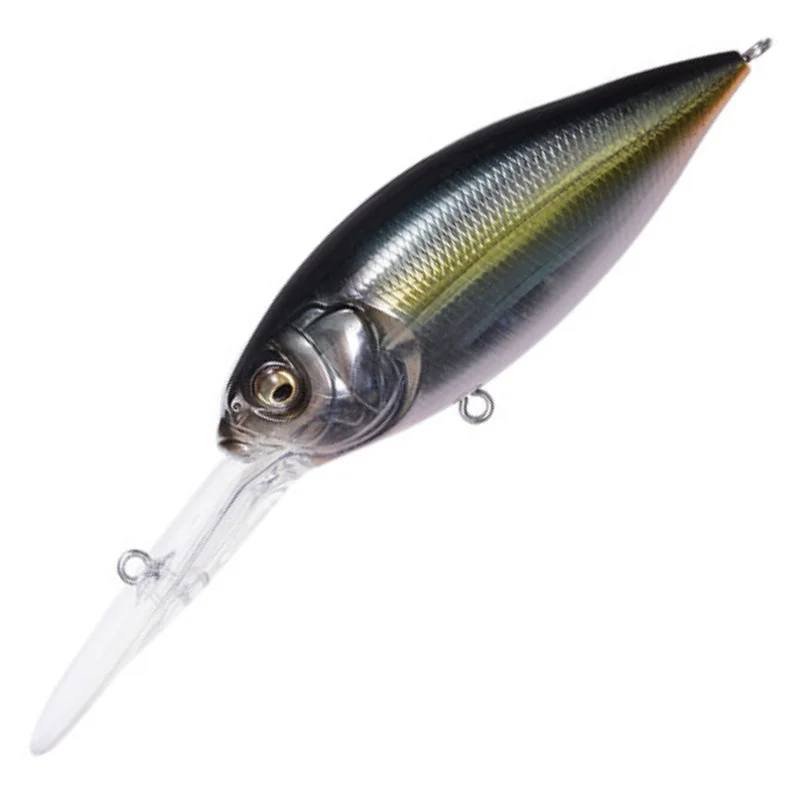 JUKUCHO SHAD