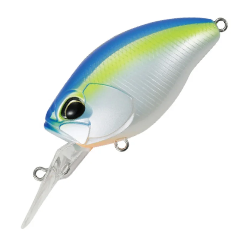 BLUE SHAD