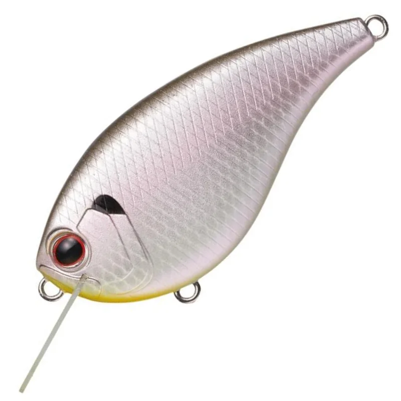 #362 COLD SHAD