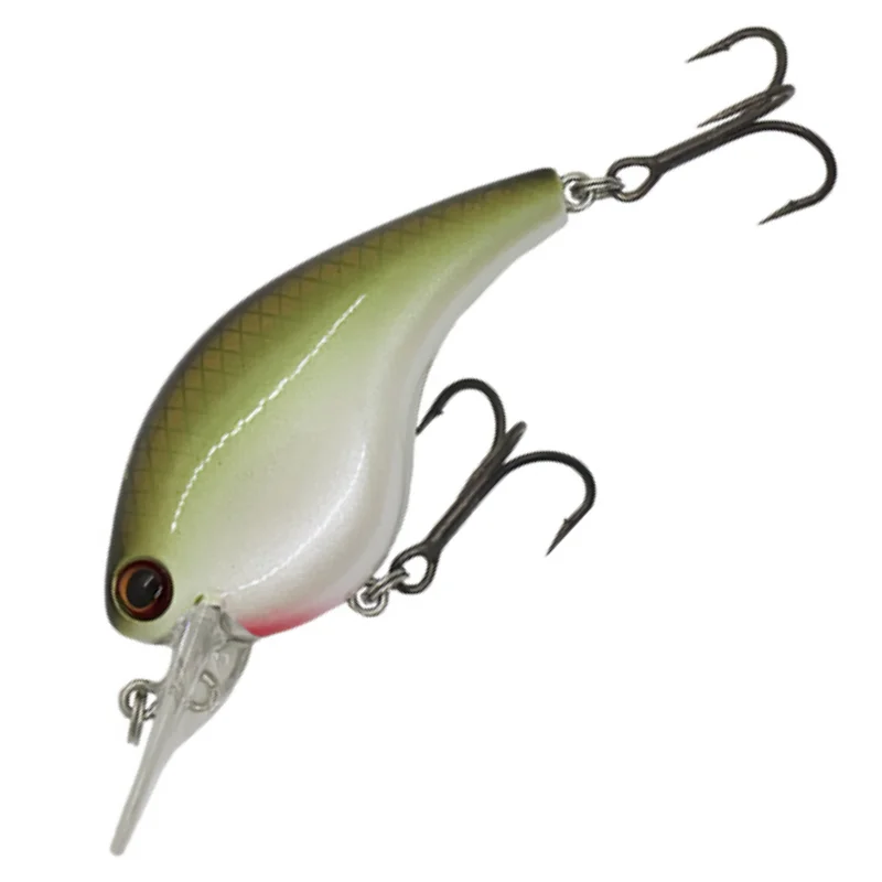 #02 GREEN SHAD