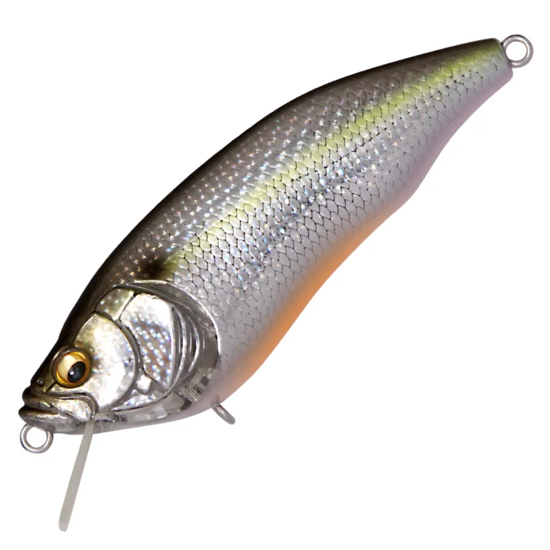 DD SEXY SHAD