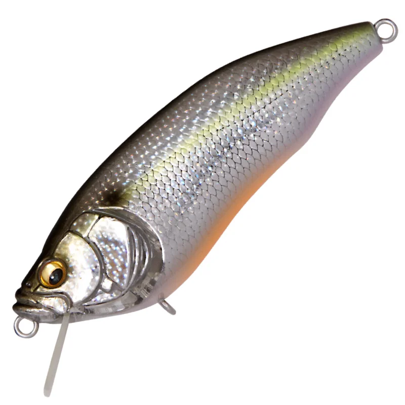 DD SEXY SHAD