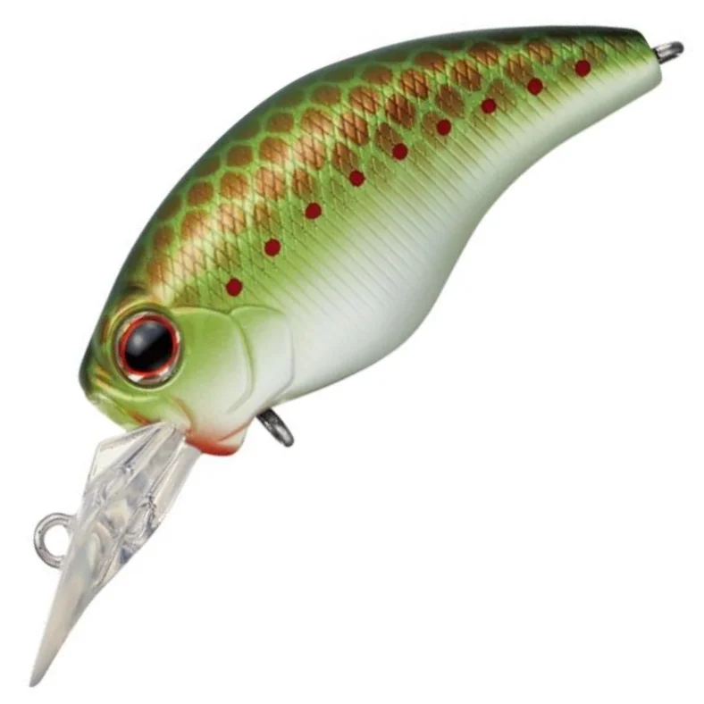 #373 OLIVE COPPER SHAD