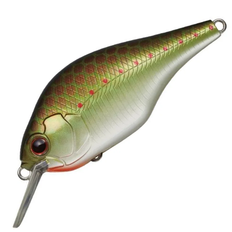 #373 OLIVE COPPER SHAD