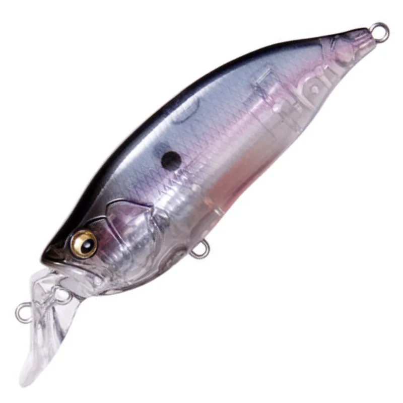 GHOST SHAD