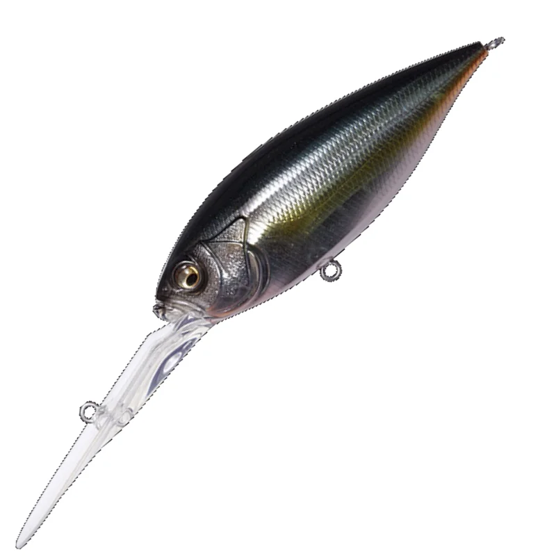 JUKUCHO SHAD