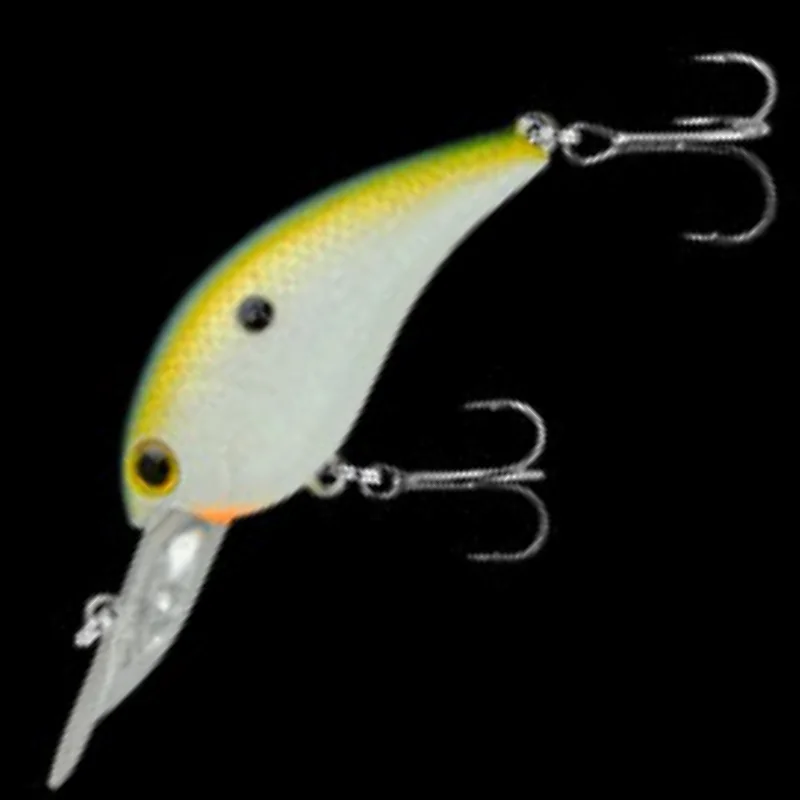 230 SEXY SHAD